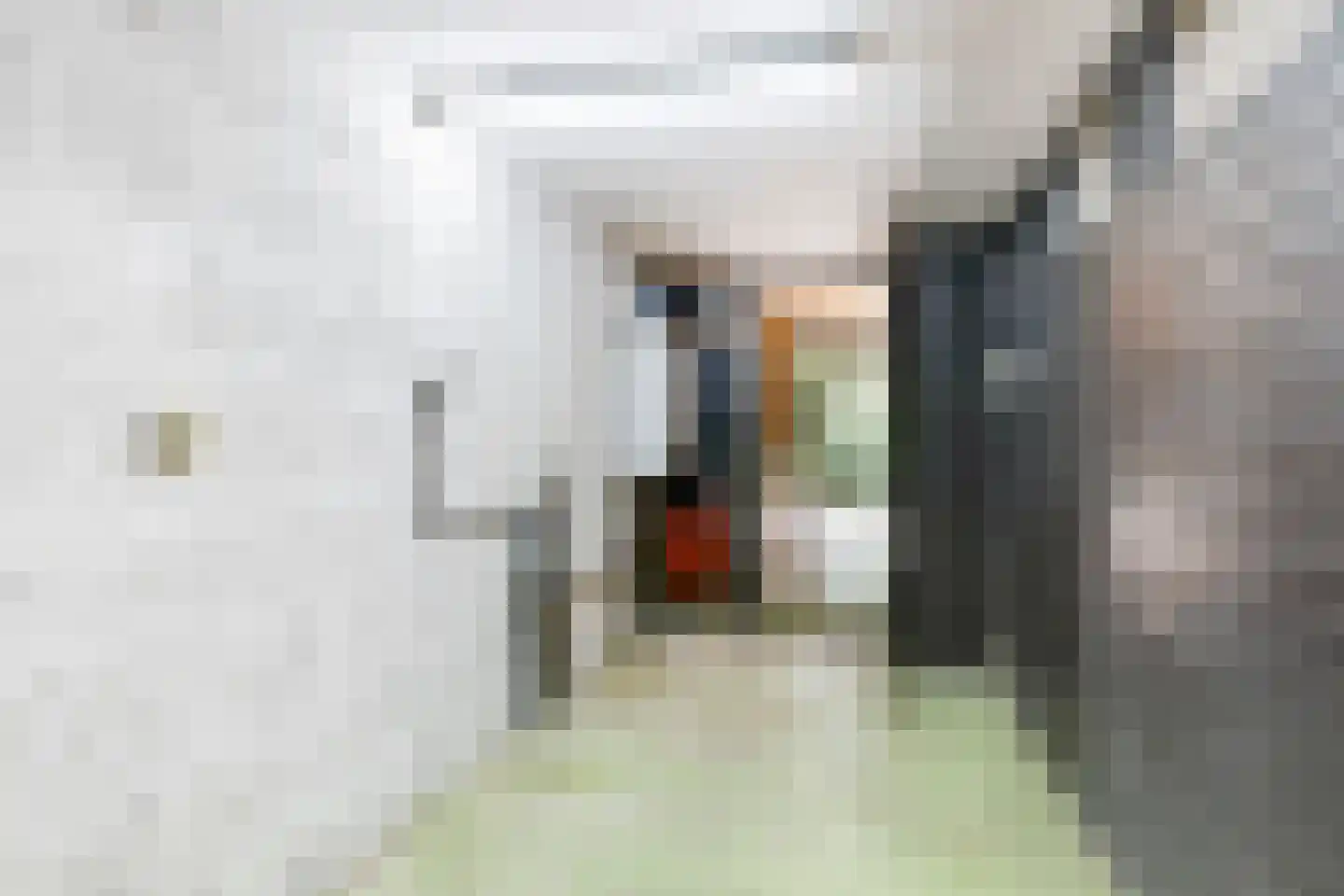 President Kennedylaan 325 Velp thumbnail 13