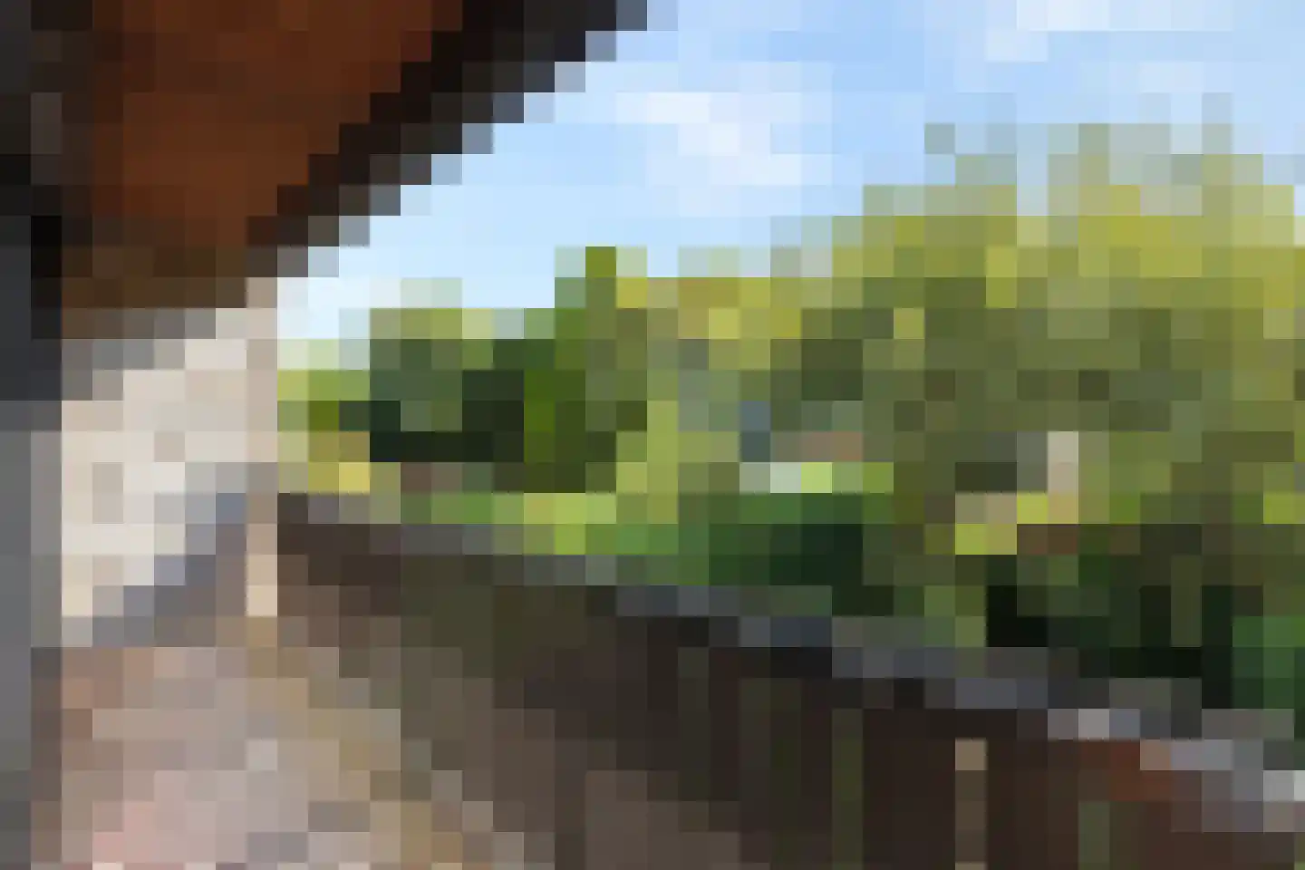President Kennedylaan 325 Velp thumbnail 22
