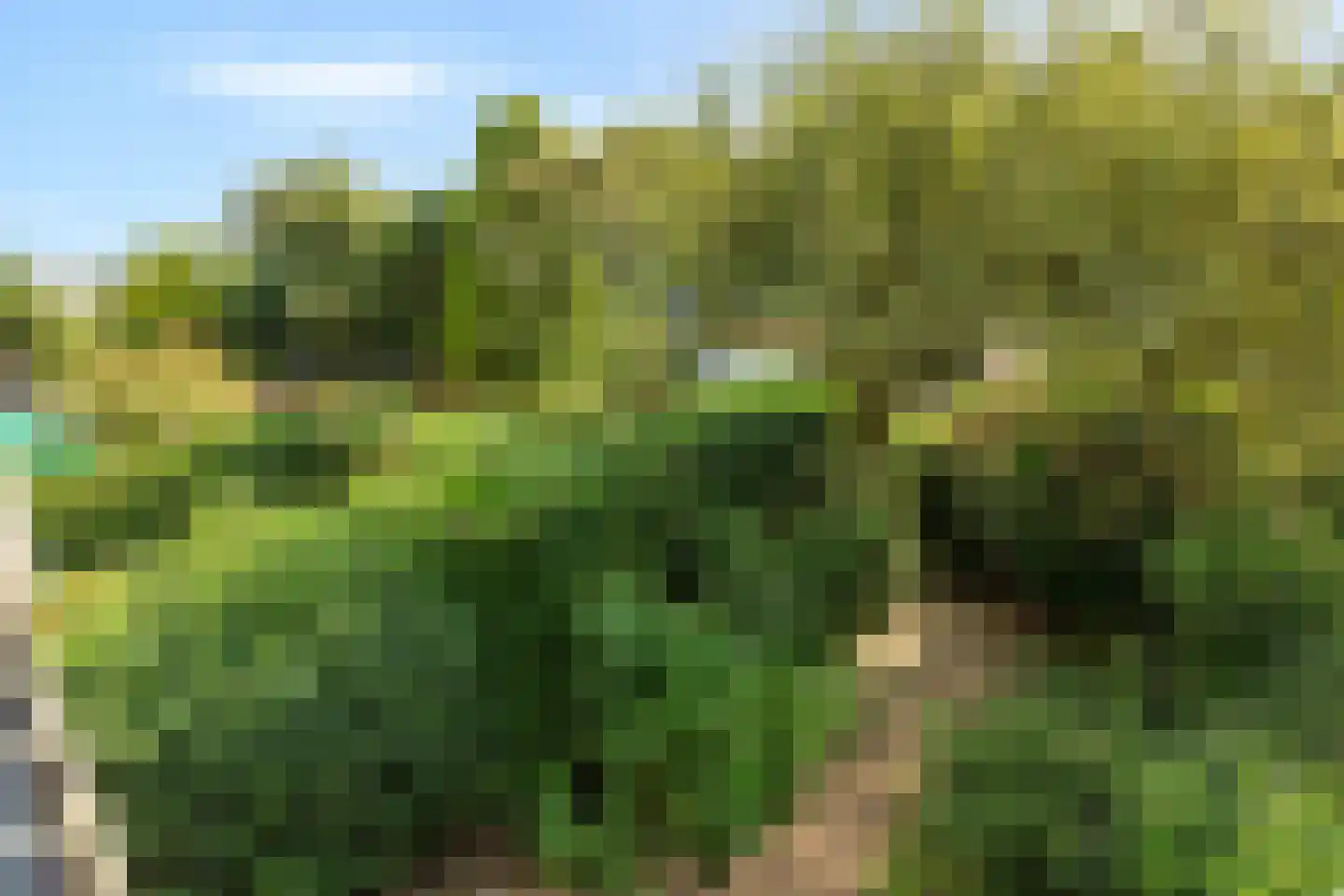 President Kennedylaan 325 Velp thumbnail 23