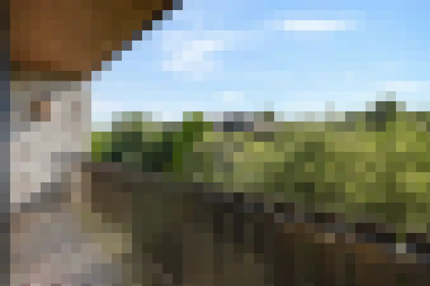 President Kennedylaan 325 Velp thumbnail 25