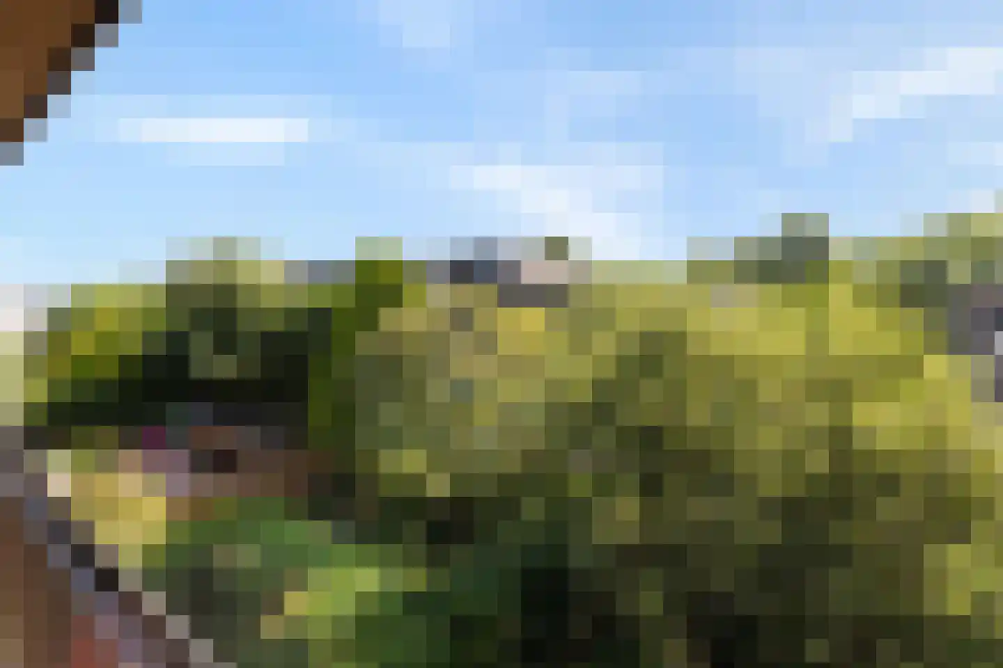 President Kennedylaan 325 Velp thumbnail 26