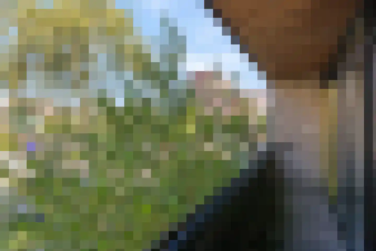 President Kennedylaan 325 Velp thumbnail 40