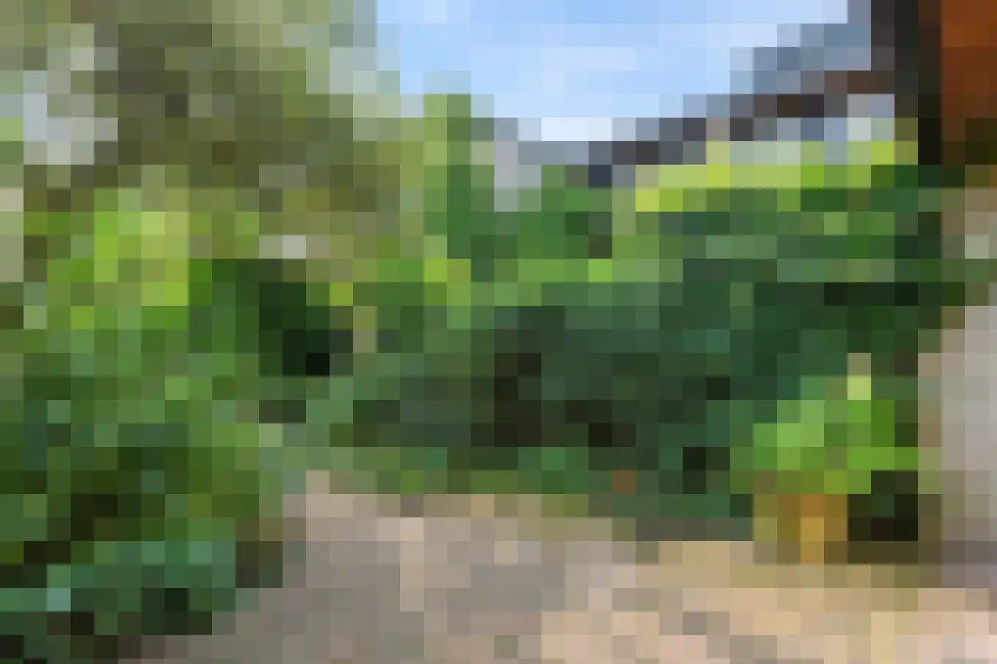 President Kennedylaan 325 Velp thumbnail 45
