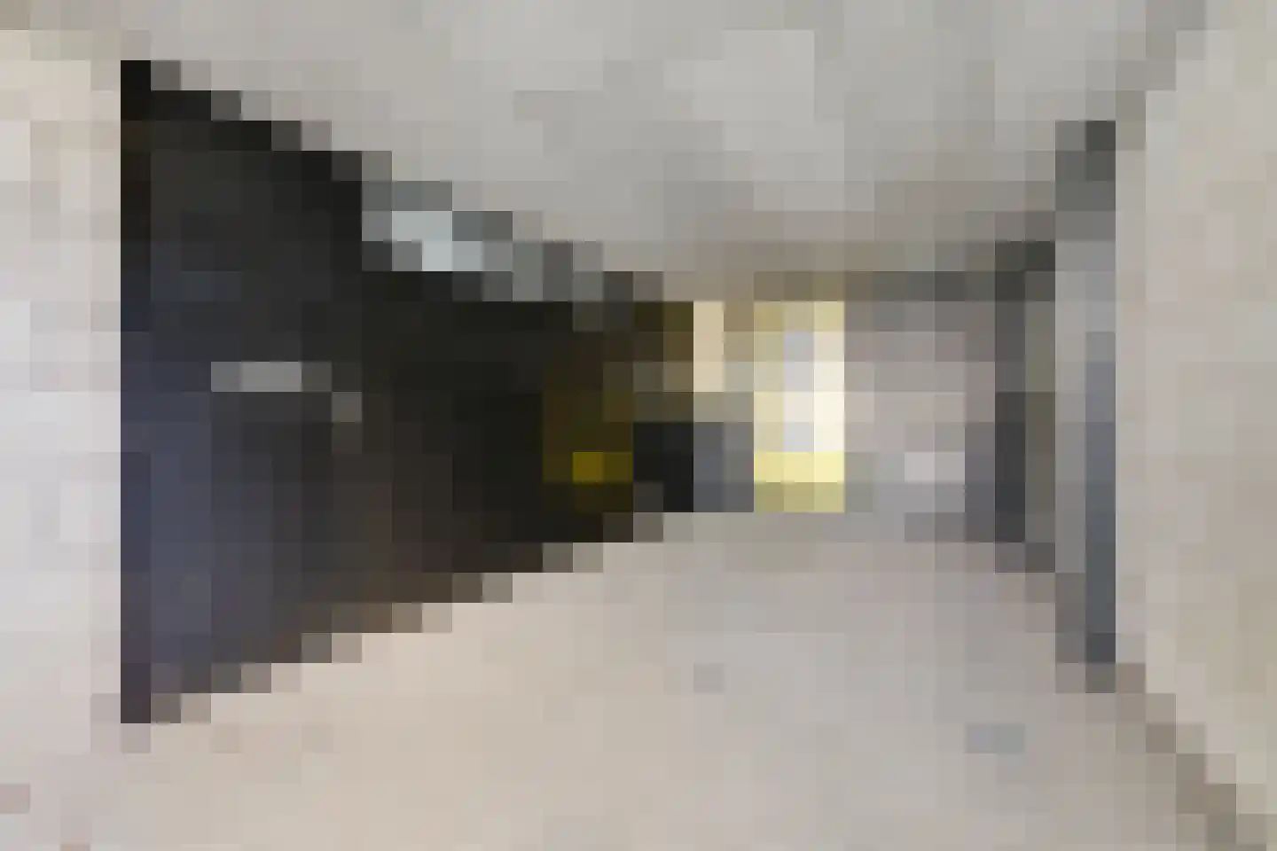President Kennedylaan 325 Velp thumbnail 5