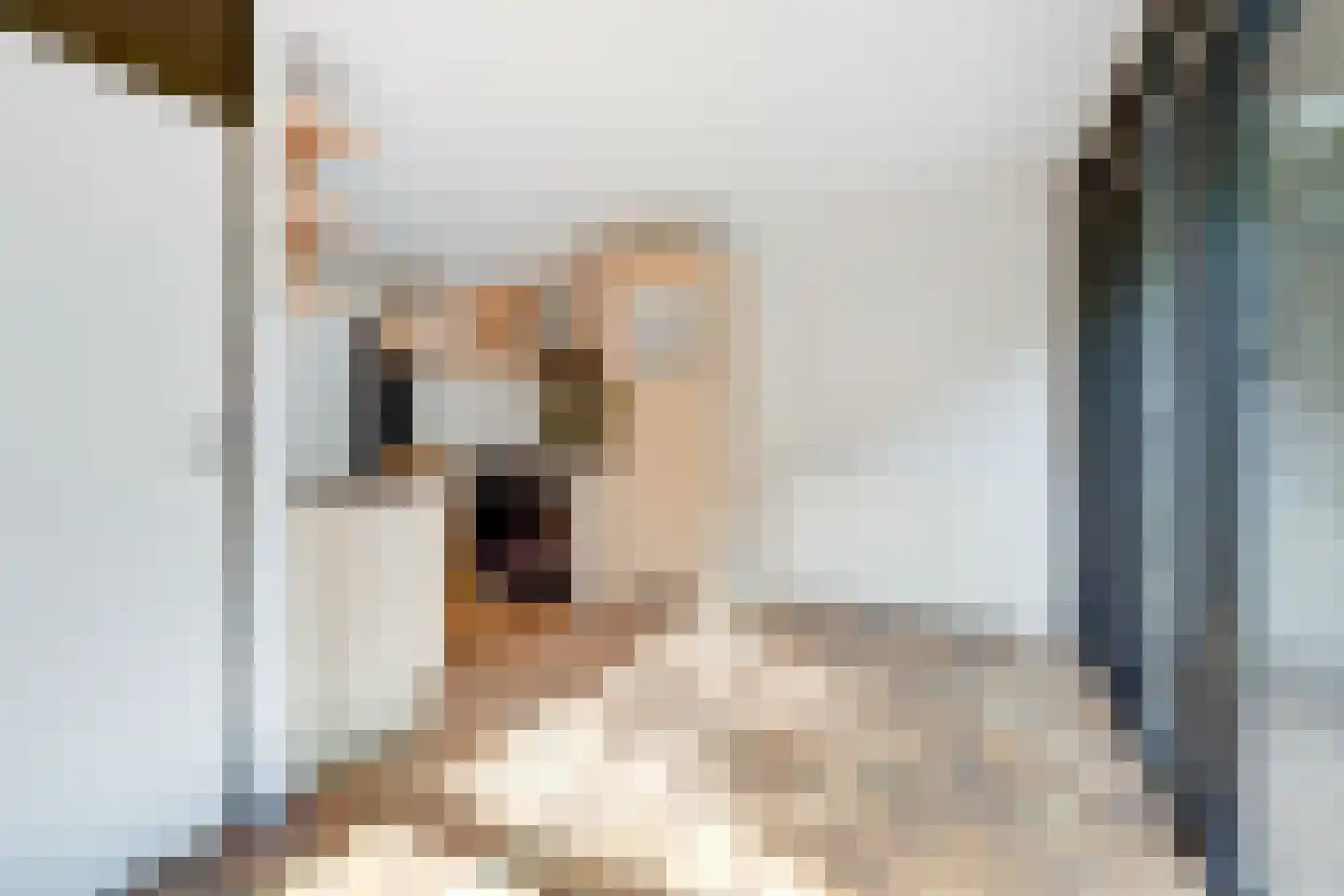 President Kennedylaan 325 Velp thumbnail 7