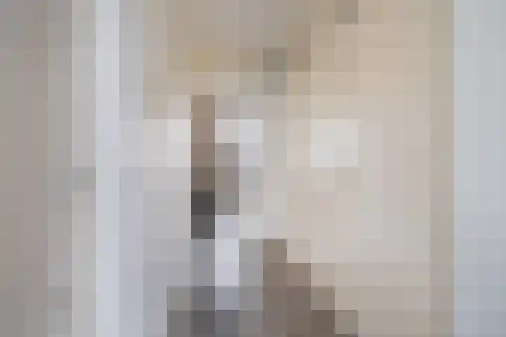 President Kennedylaan 343 Velp thumbnail 15