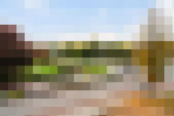 President Kennedylaan 343 Velp thumbnail 17