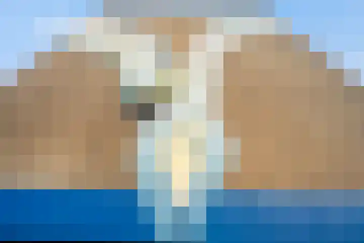 President Kennedylaan 343 Velp thumbnail 22