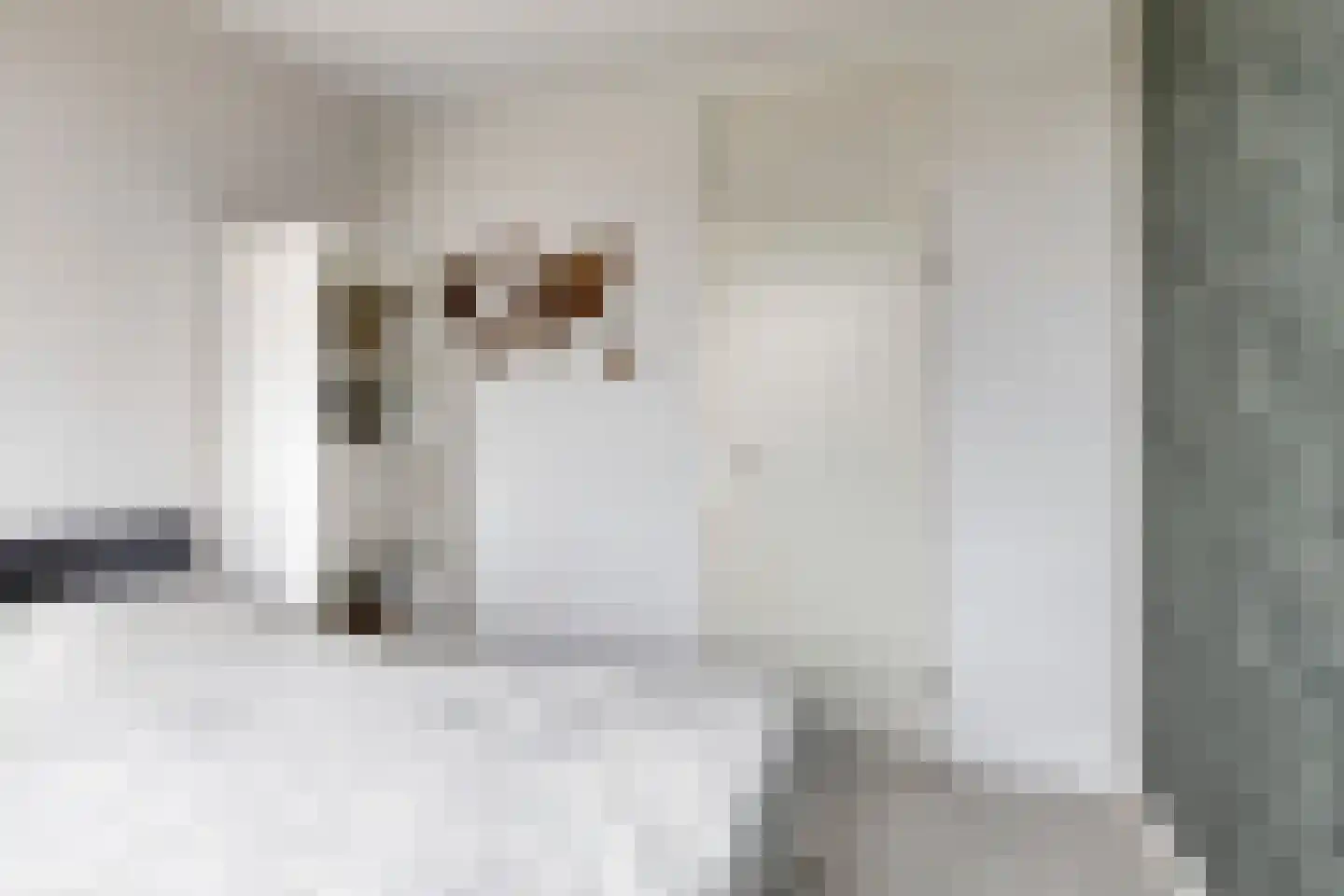 President Kennedylaan 371 Velp thumbnail 12