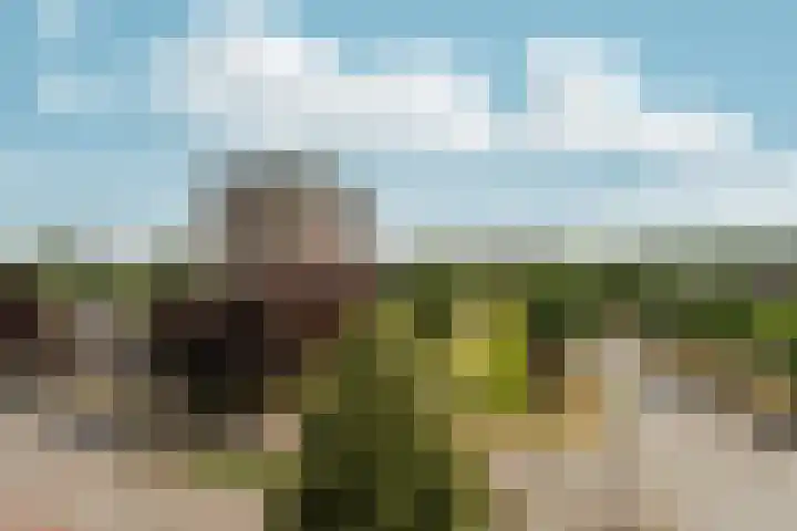 President Kennedylaan 387 Velp thumbnail 13