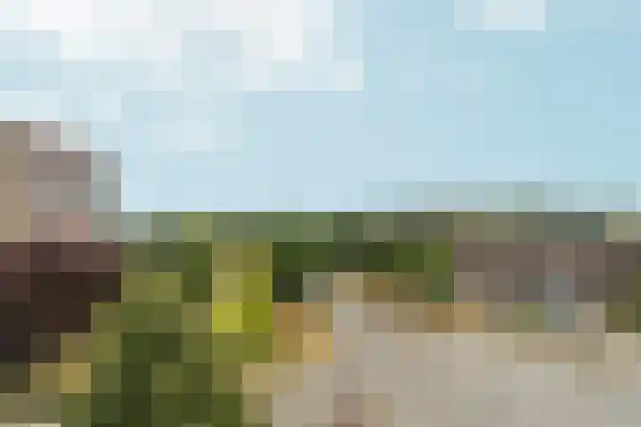 President Kennedylaan 387 Velp thumbnail 14