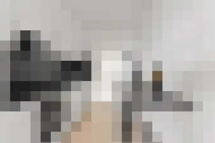 President Kennedylaan 387 Velp thumbnail 15