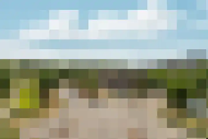 President Kennedylaan 387 Velp thumbnail 29