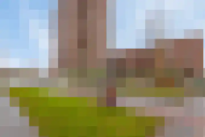 President Kennedylaan 387 Velp thumbnail 30