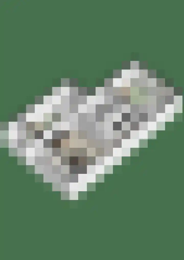 President Kennedylaan 387 Velp thumbnail 32