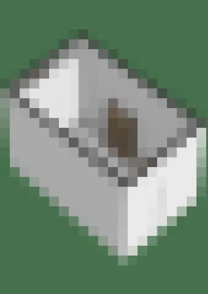 President Kennedylaan 387 Velp thumbnail 35