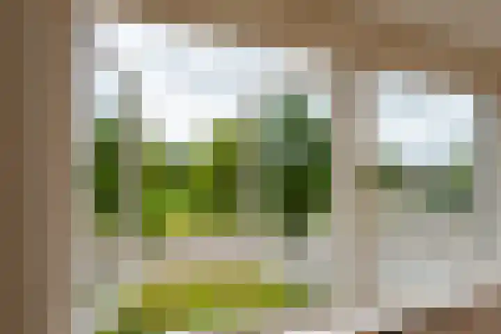President Kennedylaan 4 Akersloot thumbnail 18