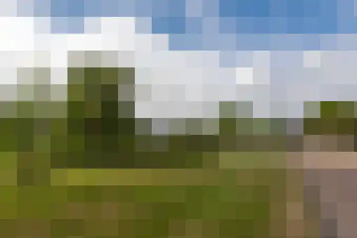 President Kennedylaan 4 Akersloot thumbnail 39
