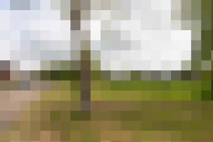 President Kennedylaan 4 Akersloot thumbnail 40