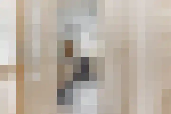 President Kennedylaan 4 Akersloot thumbnail 9