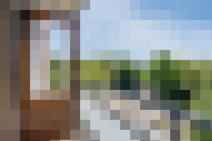 President Kennedylaan 405 Oegstgeest thumbnail 34