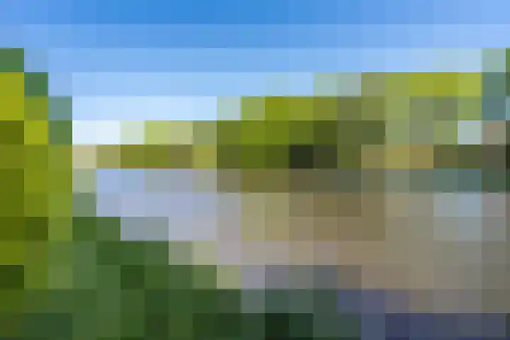 President Kennedylaan 405 Oegstgeest thumbnail 4