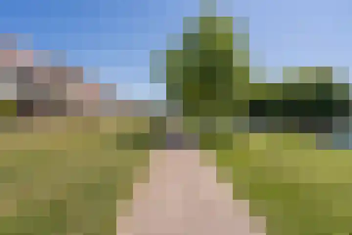 President Kennedylaan 405 Oegstgeest thumbnail 43