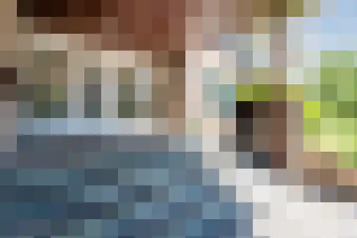 President Kennedylaan 405 Oegstgeest thumbnail 6