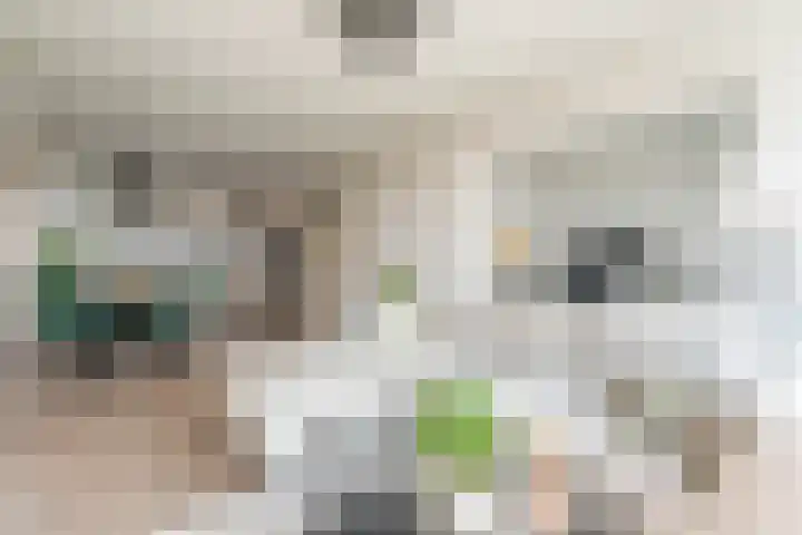 President Kennedylaan 507 Oegstgeest thumbnail 4