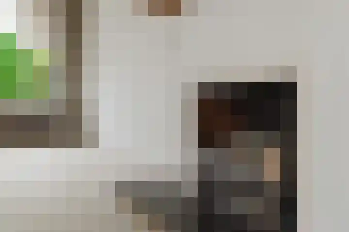 President Kennedylaan 66 Roosendaal thumbnail 5
