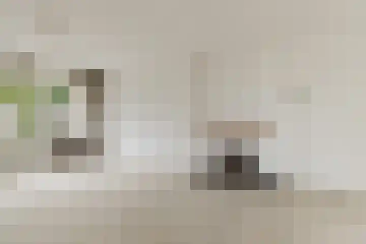 President Kennedylaan 66 Roosendaal thumbnail 7