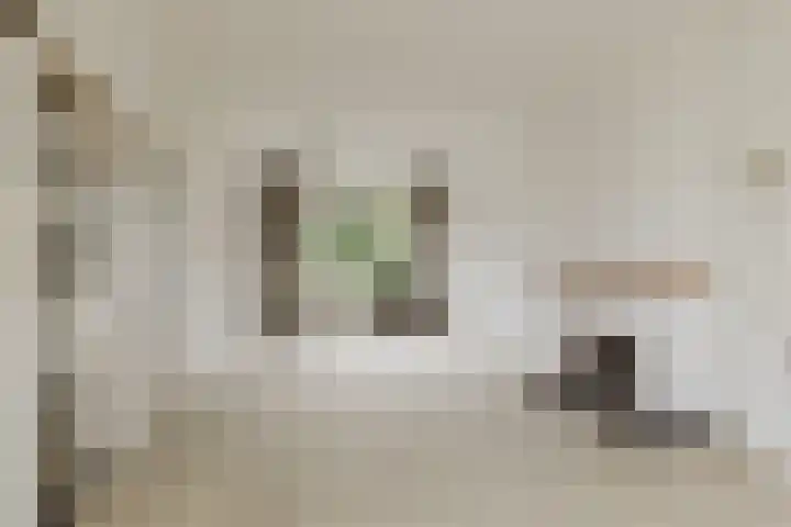 President Kennedylaan 66 Roosendaal thumbnail 8