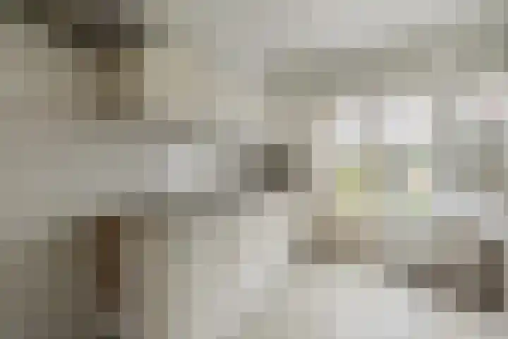 President Kennedylaan 66 Roosendaal thumbnail 9