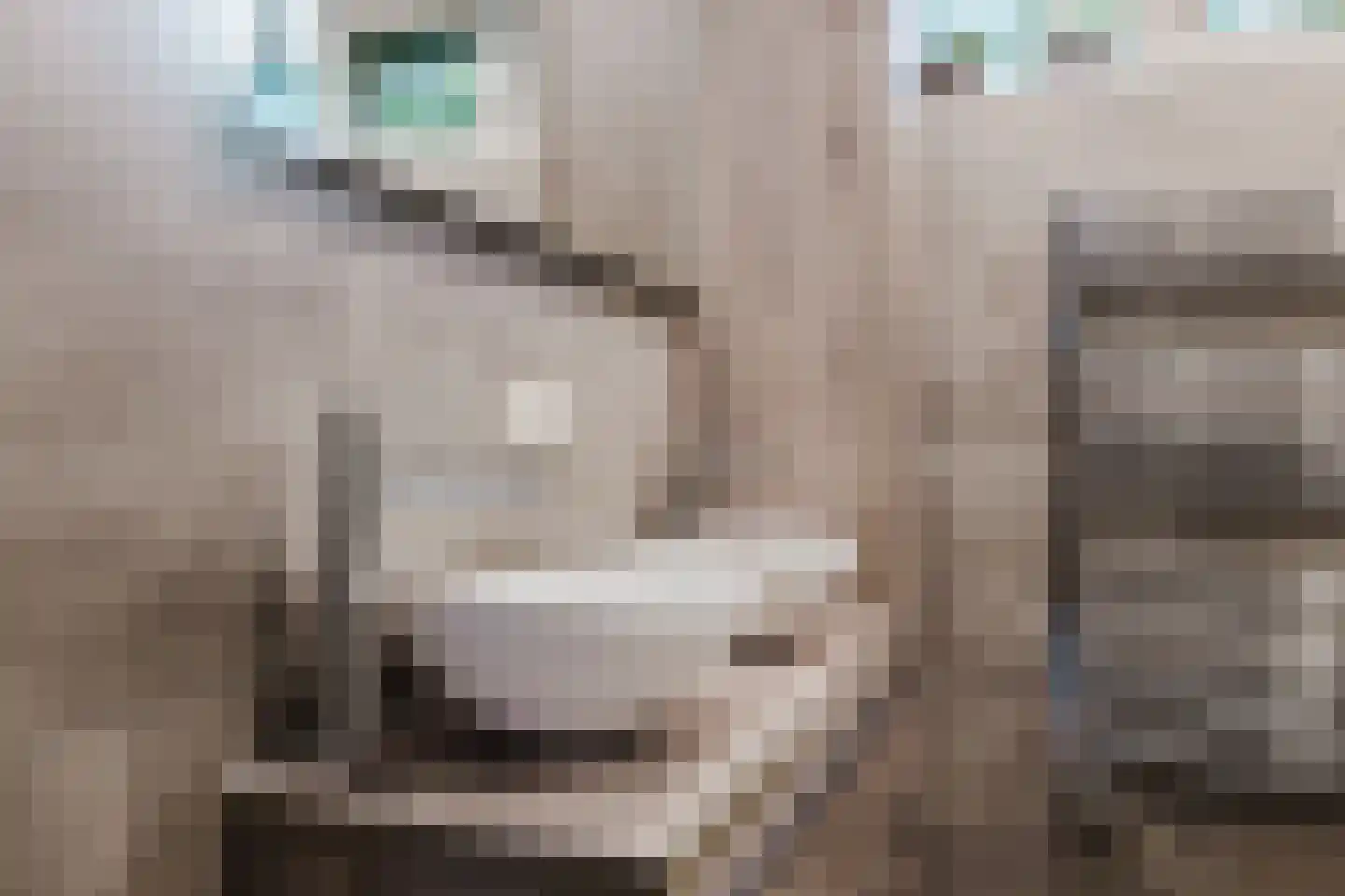 President Kennedylaan 68 Roosendaal thumbnail 7