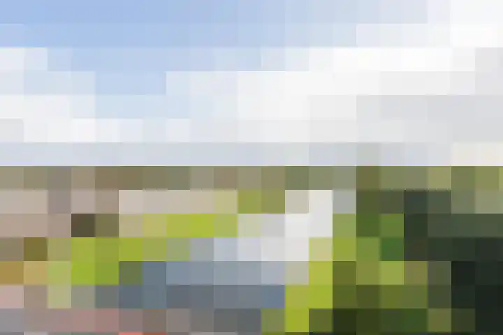 President Kennedylaan 703 Oegstgeest thumbnail 31