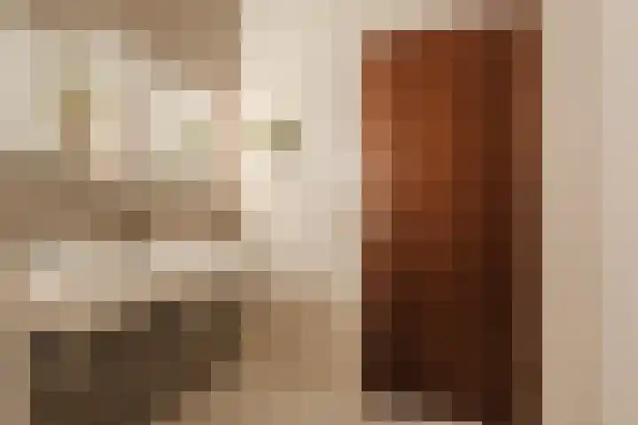 President Kennedylaan 703 Oegstgeest thumbnail 34
