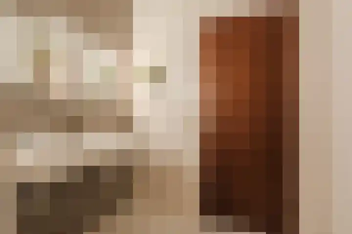 President Kennedylaan 703 Oegstgeest thumbnail 4