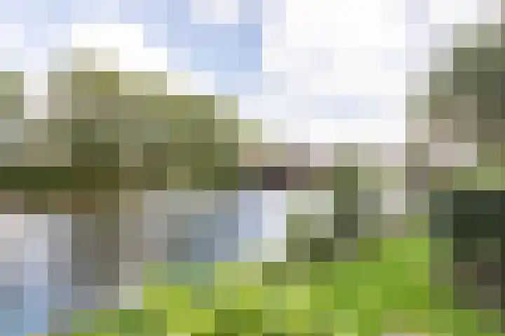 President Kennedylaan 703 Oegstgeest thumbnail 41
