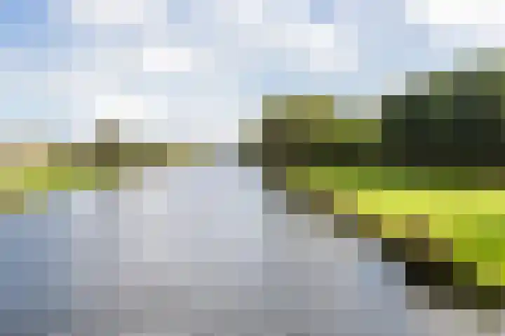 President Kennedylaan 703 Oegstgeest thumbnail 42