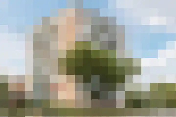 President Kennedylaan 703 Oegstgeest thumbnail 5