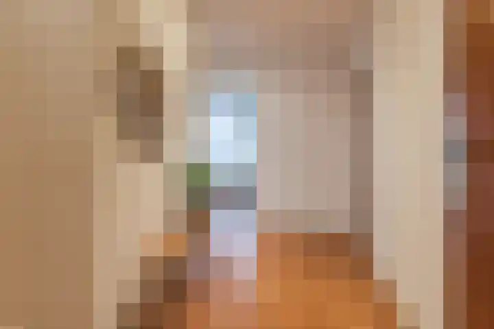 President Kennedylaan 703 Oegstgeest thumbnail 6