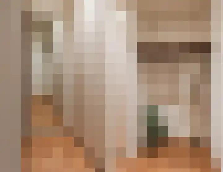 President Kennedylaan 703 Oegstgeest thumbnail 7