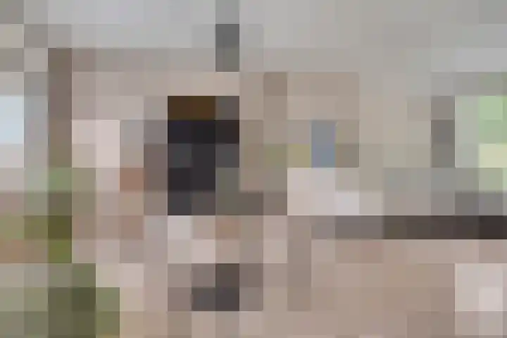 President Kennedylaan 77 Uden thumbnail 13