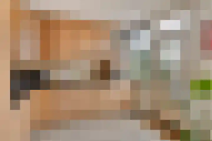 President Kennedylaan 77 Uden thumbnail 14
