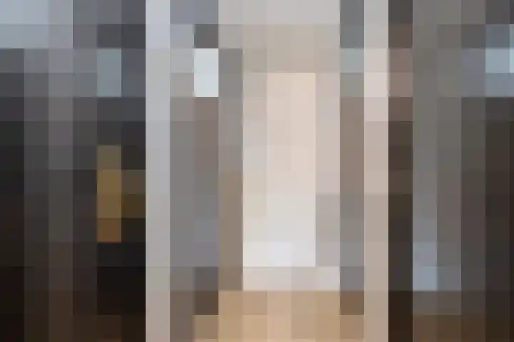 President Kennedylaan 77 Uden thumbnail 17