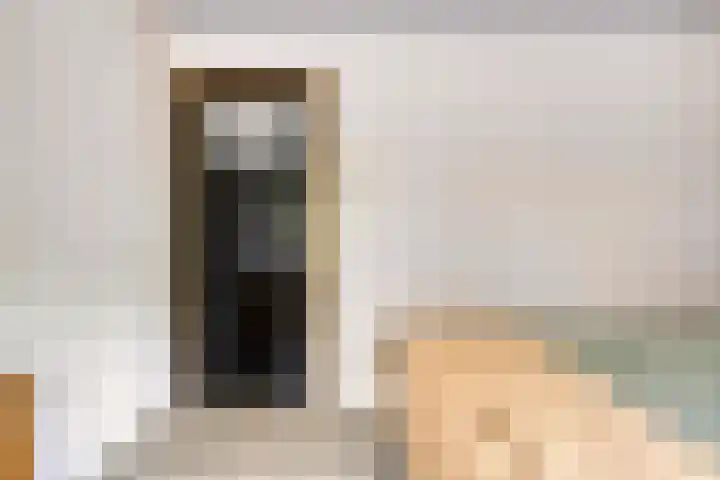 President Kennedylaan 77 Uden thumbnail 19