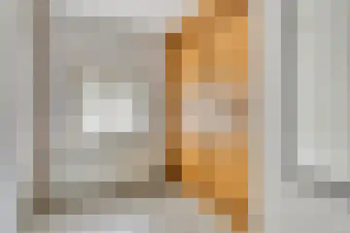 President Kennedylaan 77 Uden thumbnail 24