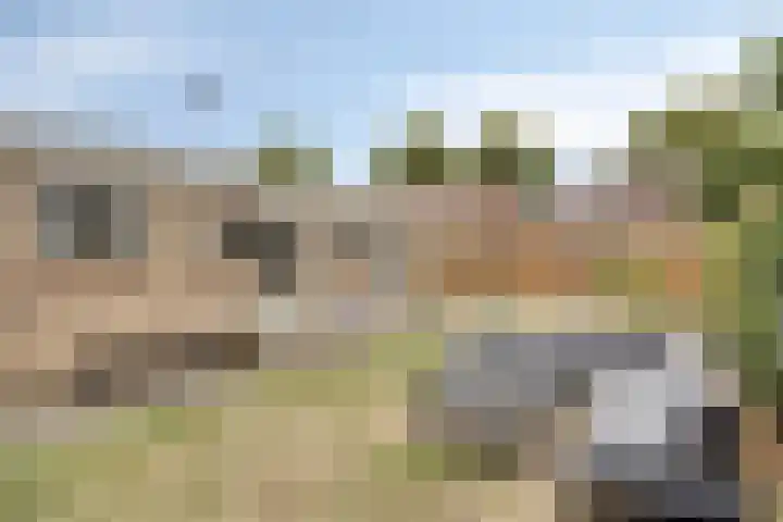 President Kennedylaan 77 Uden thumbnail 29