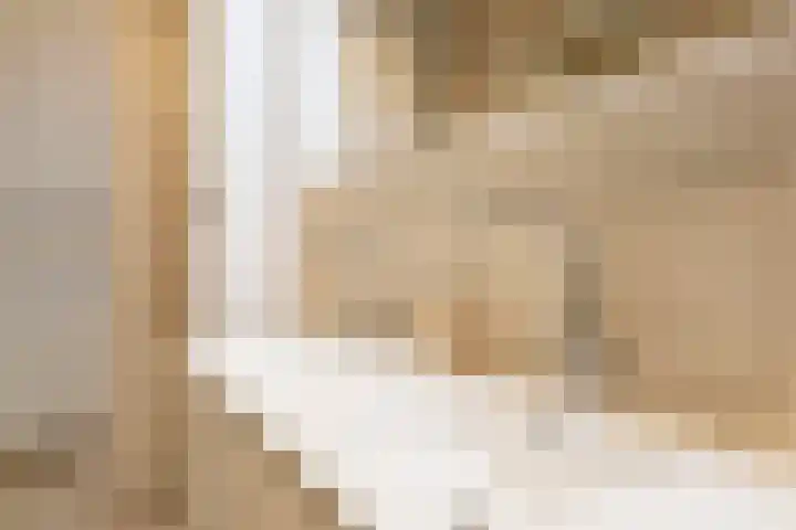 President Kennedylaan 83 Oegstgeest thumbnail 23