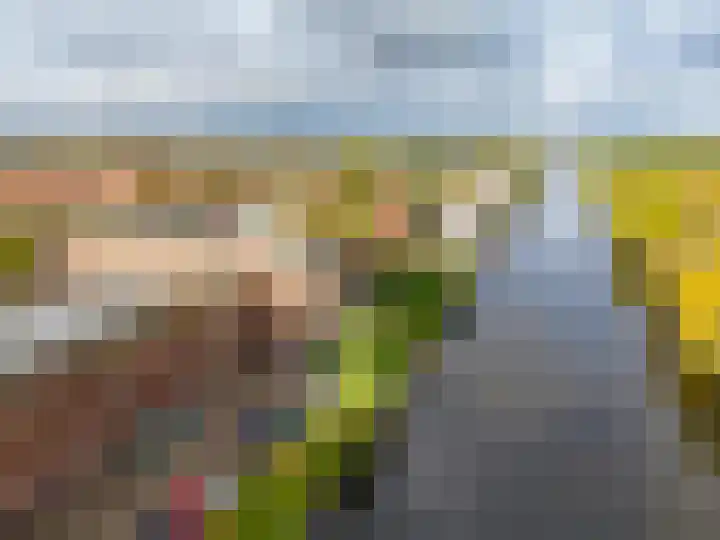 President Kennedylaan 83 Oegstgeest thumbnail 29
